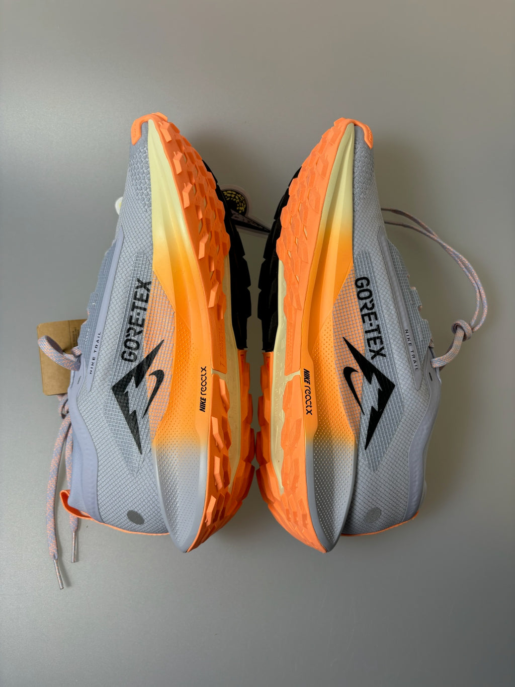 Nike Pegasus Trail 5 GTX