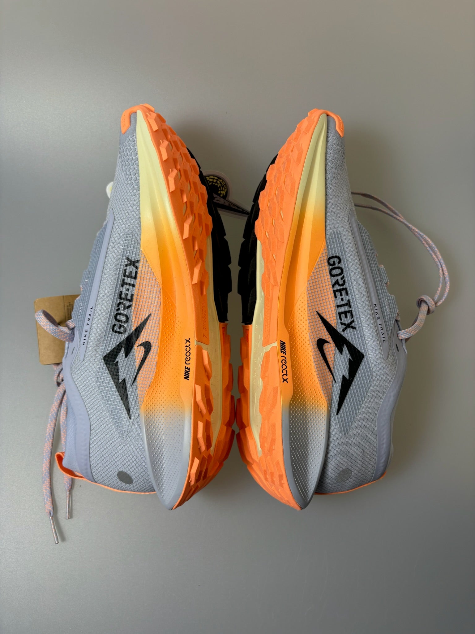 Nike Pegasus Trail 5 GTX