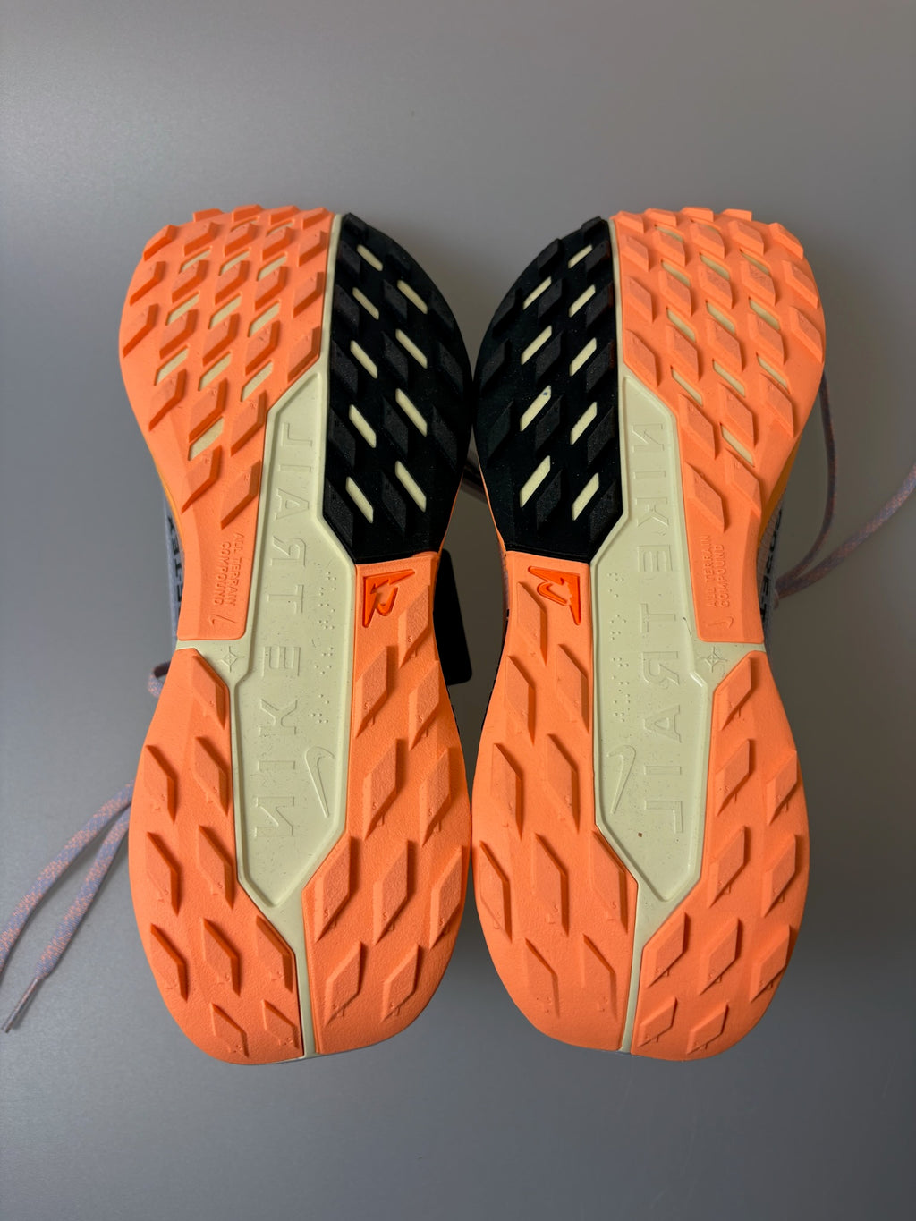 Nike Pegasus Trail 5 GTX
