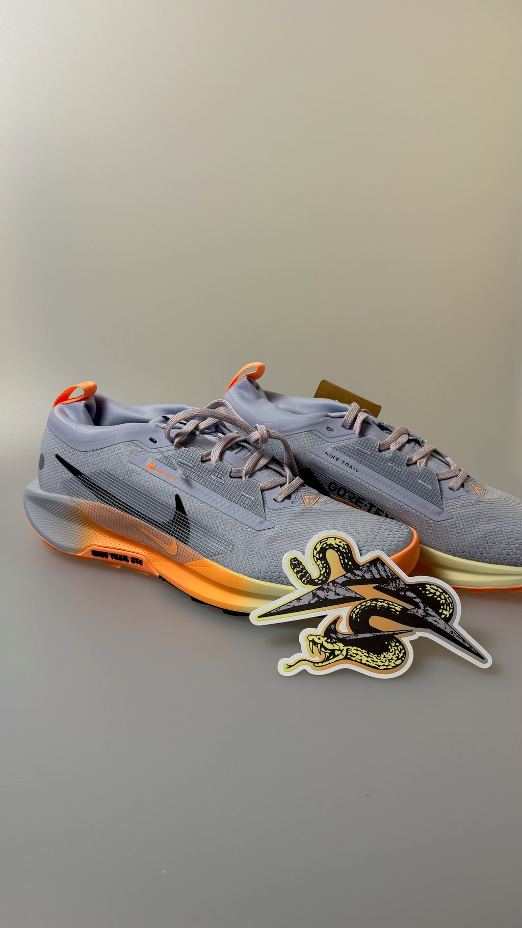 Nike Pegasus Trail 5 GTX