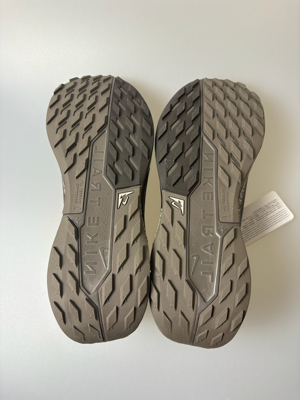 Nike Pegasus Trail 5 GTX
