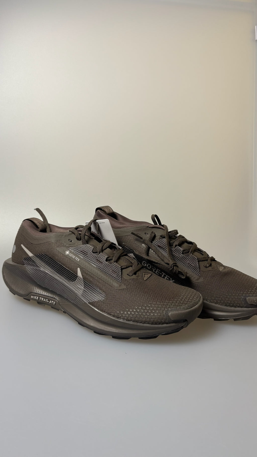 Nike Pegasus Trail 5 GTX